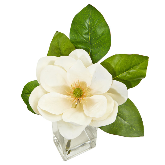 Charlton Home Artificial Magnolia Floral Arrangement in Vase Wayfair